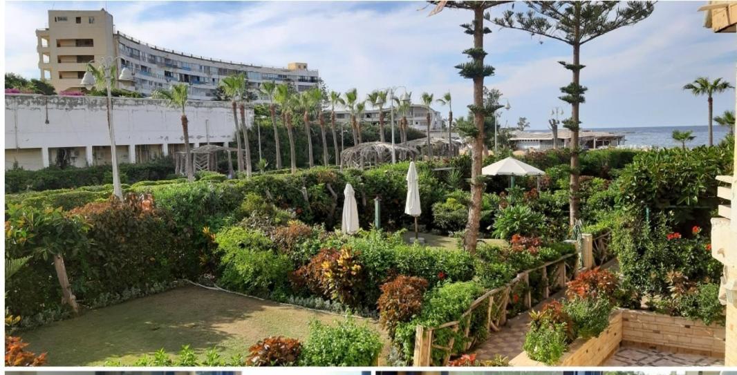 2Bed Rooms 95M, Garden&Sea View, First Floor, Family Only دور اول بمدخل مستقل Alexandria Exterior photo